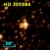 HD 305984