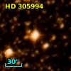 HD 305994