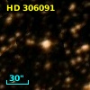 HD 306091