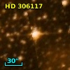 HD 306117