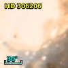 HD 306206