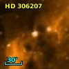 HD 306207