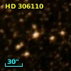 HD 306110