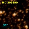 HD 305890