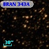 BRAN 343A