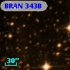 BRAN 343B