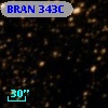 BRAN 343C
