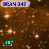 BRAN 347