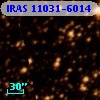 IRAS 11031-6014