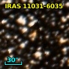 IRAS 11031-6035