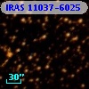 IRAS 11037-6025