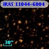 IRAS 11044-6004