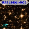 IRAS 11091-6022