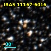 IRAS 11167-6016