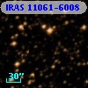 IRAS 11061-6008