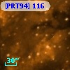 [PRT94] 116