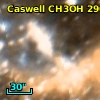 Caswell CH3OH 290.37+01.66