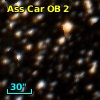 Ass Car OB   2-