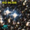 HD  96388