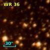 WR  36