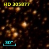 HD 305877