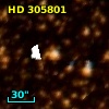 HD 305801
