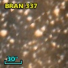 BRAN 337