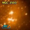 BRAN 335
