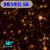 [HLV93]  56