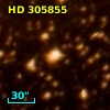 HD 305855