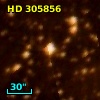 HD 305856