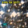 CPD-58  3077