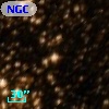 NGC  3590    31
