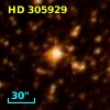 HD 305929