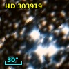 HD 303919