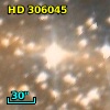 HD 306045