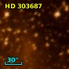 HD 303687