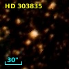 HD 303835