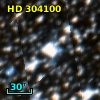 HD 304100