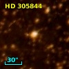HD 305844
