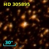 HD 305895