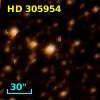 HD 305954