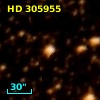 HD 305955