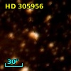 HD 305956