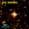 HD 305961