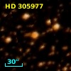 HD 305977