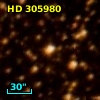 HD 305980