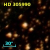 HD 305990