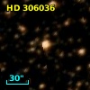 HD 306036