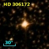 HD 306172
